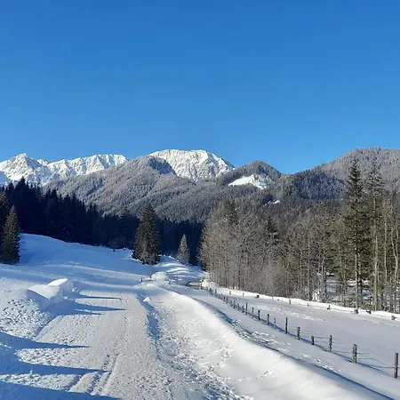 Апартаменты In Bodental Near Slopes Oreinschnak