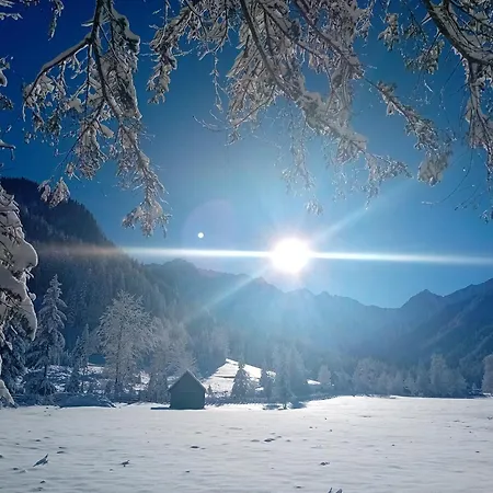 Apartamento In Bodental Near Slopes *